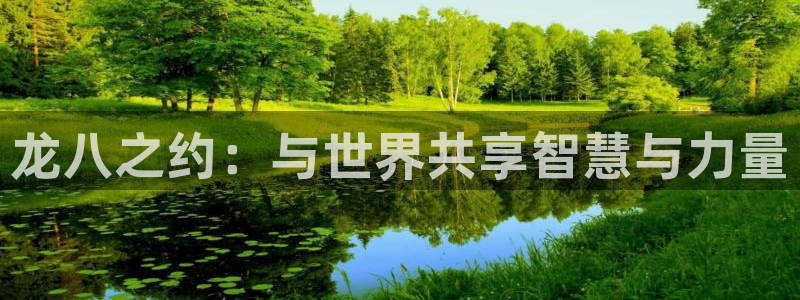 极悦娱乐体育2官网入口：龙八之约：与世界共享智慧与力量