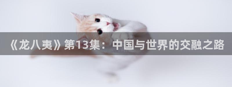 东莞市极悦娱乐电子科技有限公司：《龙八夷》第13集：中国与世界的交融之路