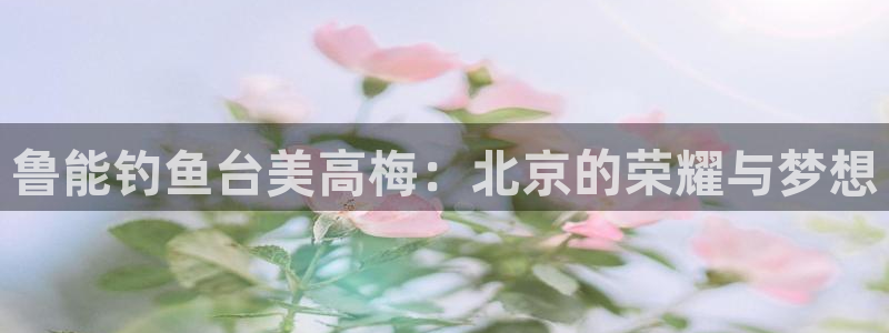 极悦娱乐体育注册平台：鲁能钓鱼台美高梅：北京的荣耀与梦想