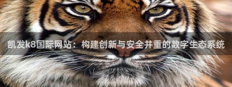 极悦娱乐注册官网入口：凯发k8国际网站：构建创新与安全并重的数字生态系统