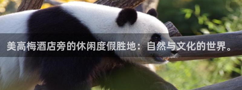 极悦娱乐在线下载：美高梅酒店旁的休闲度假胜地：自然与文化的世界。