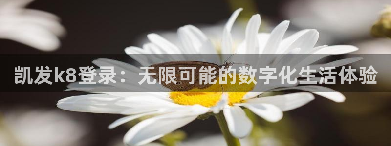 极悦娱乐体育app下载：凯发k8登录：无限可能的数字化生活体验