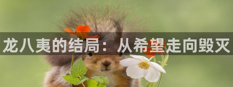 极悦娱乐3登录：龙八夷的结局：从希望走向毁灭