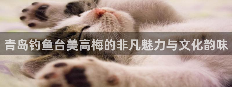 极悦娱乐平台开户：青岛钓鱼台美高梅的非凡魅力与文化韵味
