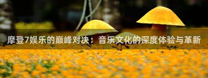 极悦娱乐股份：摩登7娱乐的巅峰对决：音乐文化的深度体验与革新