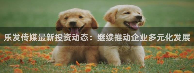 极悦娱乐官网：乐发传媒最新投资动态：继续推动企业多元化发展