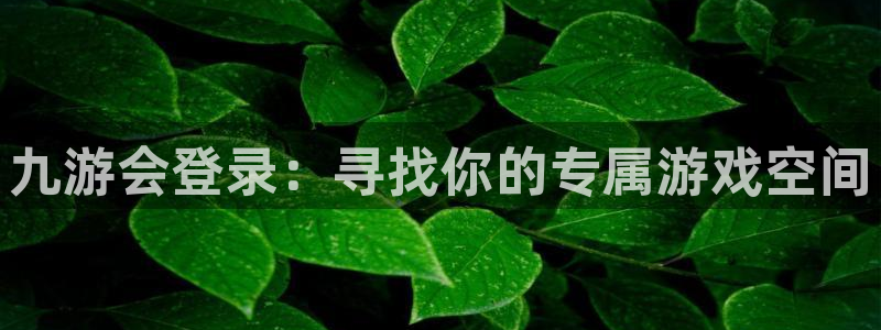 极悦娱乐3平台注册：九游会登录：寻找你的专属游戏空间