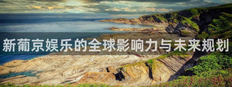 极悦娱乐那个爆率高：新葡京娱乐的全球影响力与未来规划