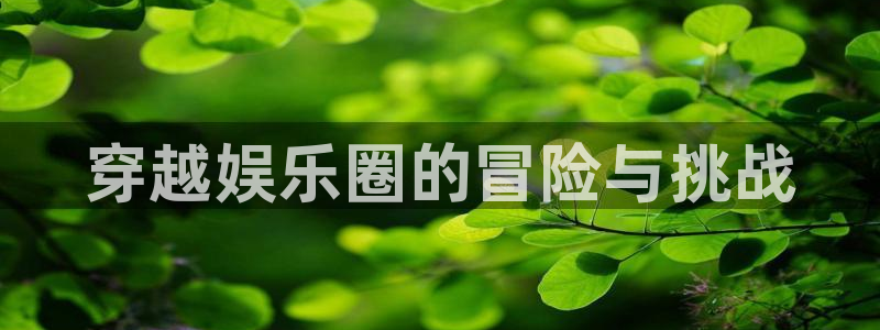 极悦娱乐分红代理计划：穿越娱乐圈的冒险与挑战