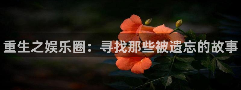 极悦娱乐k：重生之娱乐圈：寻找那些被遗忘的故事