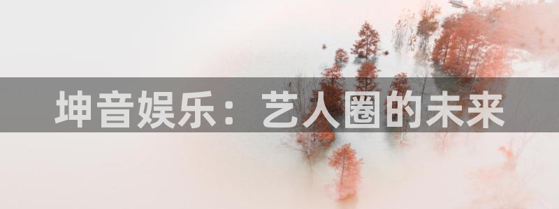 极悦娱乐集团股票：坤音娱乐：艺人圈的未来