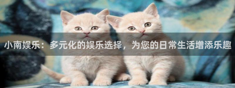 极悦娱乐登录界面入口：小南娱乐：多元化的娱乐选择，为您的日常生活增添乐趣