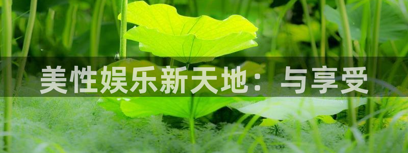 佛山市南海极悦娱乐机电仪器有限公司：美性娱乐新天地：与享受