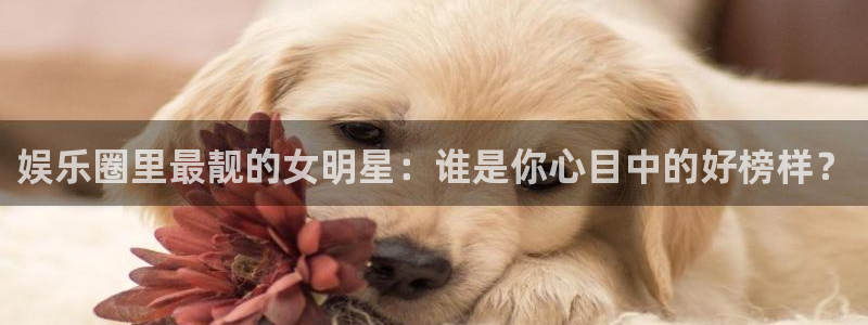 极悦娱乐是大平台吗：娱乐圈里最靓的女明星：谁是你心目中的好榜样？