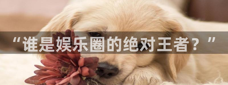 极悦娱乐体育注册登录入口：“谁是娱乐圈的绝对王者？”