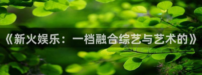 极悦娱乐加拿大：《新火娱乐：一档融合综艺与艺术的》