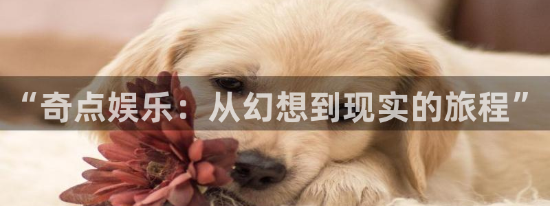 极悦娱乐包怎么样：“奇点娱乐：从幻想到现实的旅程”