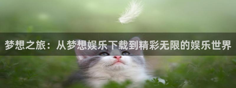 极悦娱乐手机客户端下载安装