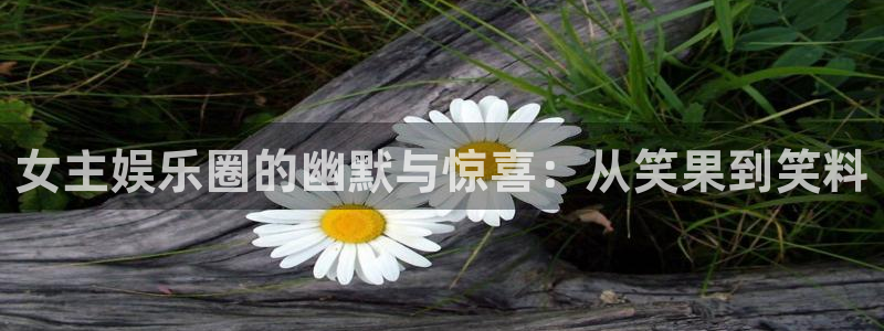 极悦娱乐是真的吗