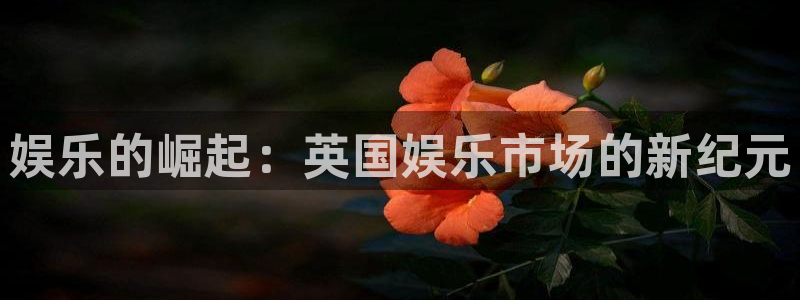 极悦娱乐体育热门赛事有哪些：娱乐的崛起：英国娱乐市场的新纪元