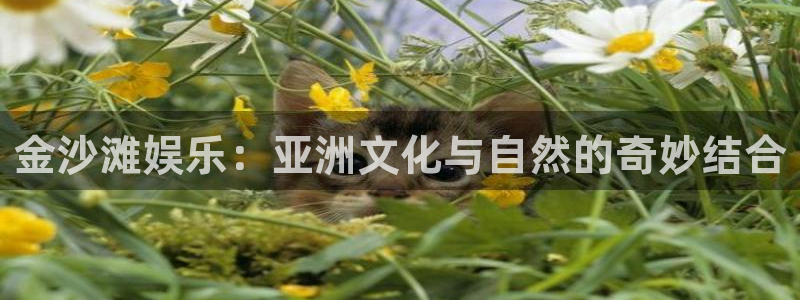 极悦娱乐体育官网登录：金沙滩娱乐：亚洲文化与自然的奇妙结合