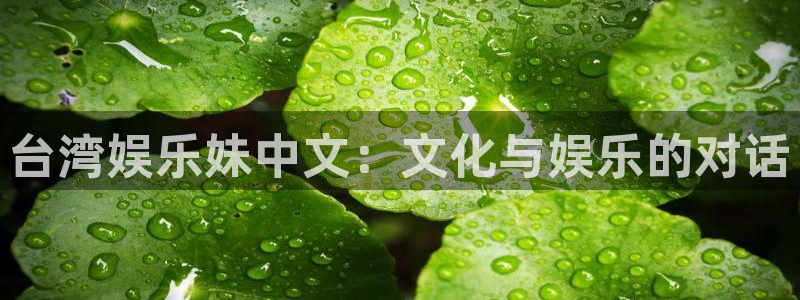 极悦娱乐怎么下载：台湾娱乐妹中文：文化与娱乐的对话