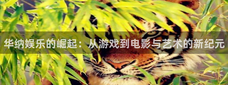 极悦娱乐注册：华纳娱乐的崛起：从游戏到电影与艺术的新纪元