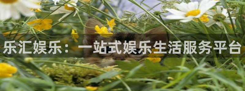 极悦娱乐f平台注册：乐汇娱乐：一站式娱乐生活服务平台