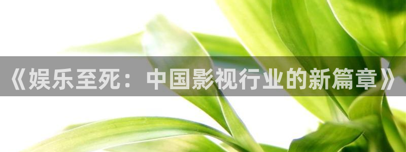 极悦娱乐官网地址：《娱乐至死：中国影视行业的新篇章》