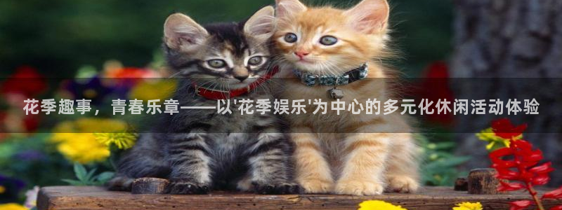 极悦娱乐集团：花季趣事，青春乐章——以\'花季娱乐\'为中心的多元化休闲活动体验