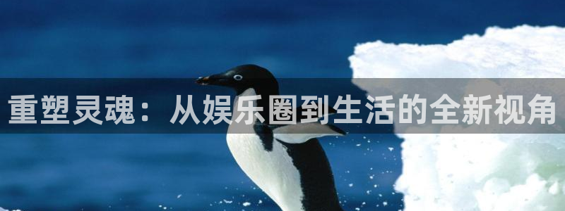极悦娱乐.ccmpc正版：重塑灵魂：从娱乐圈到生活的全新视角