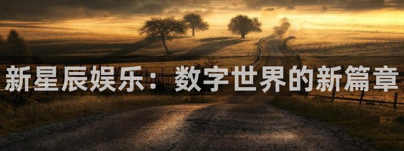 极悦娱乐游戏官网版：新星辰娱乐：数字世界的新篇章