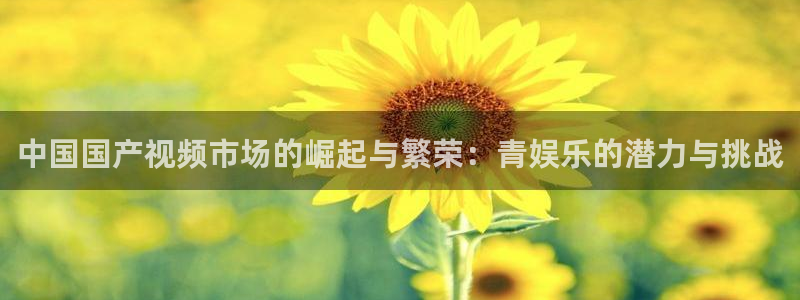 极悦娱乐4代理：中国国产视频市场的崛起与繁荣：青娱乐的潜力与挑战