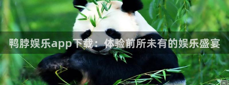 极悦娱乐.ccm官网版：鸭脖娱乐app下载：体验前所未有的娱乐盛宴