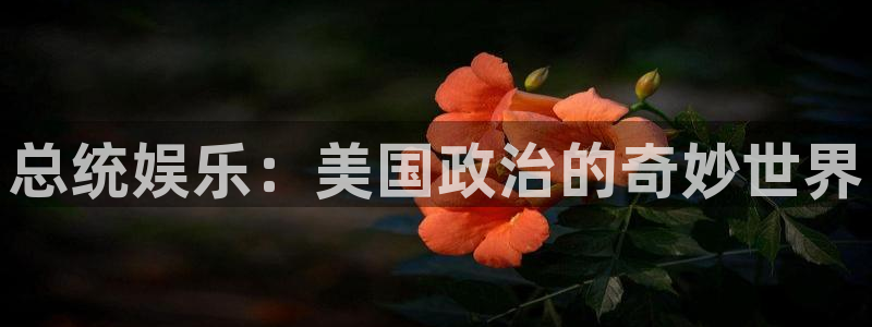极悦娱乐是什么：总统娱乐：美国政治的奇妙世界