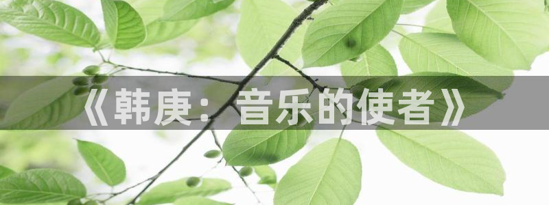 极悦娱乐游戏试玩：《韩庚：音乐的使者》