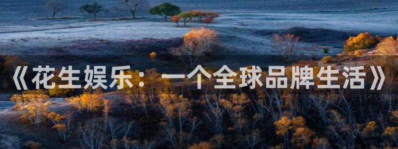 佛山市南海极悦娱乐机电仪器有限公司：《花生娱乐：一个全球品牌生活》