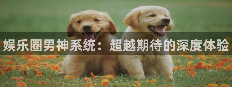 苹果版极悦娱乐下载安装：娱乐圈男神系统：超越期待的深度体验