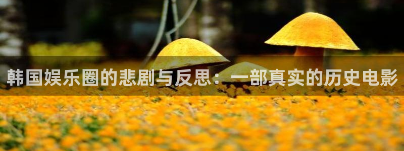 极悦娱乐app哪个模式容易赢：韩国娱乐圈的悲剧与反思：一部真实的历史电影