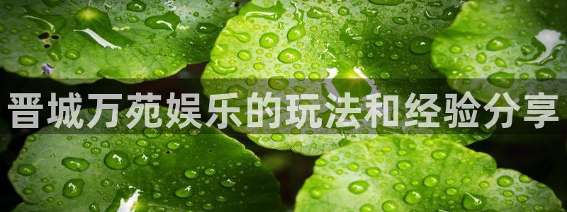 极悦娱乐免费注册：晋城万苑娱乐的玩法和经验分享