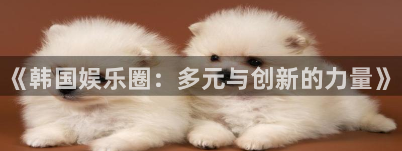 极悦娱乐.ccm：《韩国娱乐圈：多元与创新的力量》